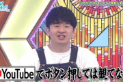 【日向坂46】若林さん「ひなあい観てると流れるんでそれだけの情報を…」←これ