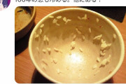 【悲報】マナー講師()気取りまんさん「こういうご飯の食べ方マヂ許せない?」