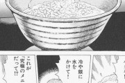 【画像】「そんな馬鹿な！」「冷や飯に水をかけて！」「これが究極のメニューだって！？」