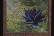 MTGのブラックロータス鑑定済み最高品質が出品中　現在1億円超え