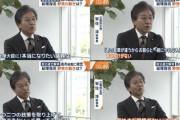 【悲報】立憲・安住幹事長さん「安保で一致できないからダメだとか玉木は覚悟がねえんだよ！」