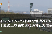 神戸新聞杯エイシンインアウトはなぜ敗れたのか？夏の上り馬を巡る適性と力関係
