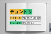 【韓国】サントリーはなぜ標的になったのか【チョントリー】