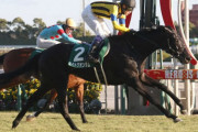 【競馬予想】第71回クイーンステークス（GⅢ）/2023