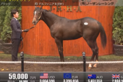 【セレクトセール2024】デルフィニアⅡの2023（父キタサンブラック）5億9000万円で落札
