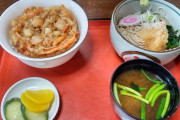 【画像】天丼とおろしそばのセット食べてきたよ～