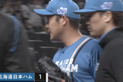 日本ハムファイターズ、今季初のサヨナラ負けです