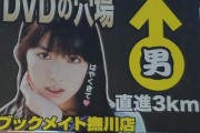【画像】この看板の女優って誰？