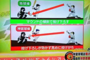 【悲報】甲子園、打ち下ろし球場だった