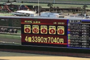 競馬と宝くじ どちらが夢見れる？