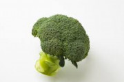 ブロッコリーになったヴィーガン活動家がテレビに出演！ →　独自理論でお茶の間フリーズｗｗｗｗ