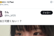 【悲報】自撮りした女の子、画像をあげたら叩かれまくって弁明する事態にｗｗｗｗ