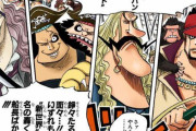 ワンピースの白ひげ傘下の海賊たちって弱すぎね？