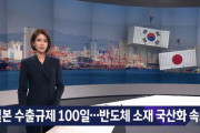 韓国の反応「もはや日本製品は犬、豚が使うもの、日本不買運動100日間の成果を見てみよう」