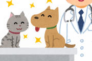 【画像】名前も看板も最高な獣医が見つかるｗｗｗｗｗｗ