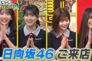 【日向坂46】これは楽しみすぎる！！次回あちこちオードリーの予告が公開