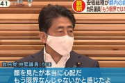 パヨク「安倍が吐血した？よっしゃ！」→ パヨク「昭恵が一笑に伏していたという情報あり、騙された」