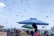 【不気味】多くの海水浴客で賑わうビーチにトンボの超大群が押し寄せる。