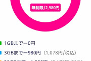 【狂気画像】楽天モバイルで622GB使う猛者が現れるｗｗｗｗｗｗｗｗｗｗｗｗ
