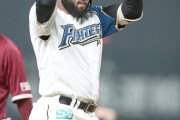 日ハムR.ロドリゲスが来日初のマルチ安打「ようやく日本の投手に慣れてきた」
