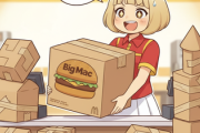 ビックマックが頑な箱理由 wwwwwwwwwwwwwww w w wwwwwwwwwwwwwww wwwwwwwwwwwwwww