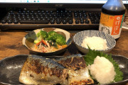 【画像】ダイエット中おれの手作りサバ定食