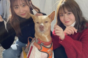 【元SKE】桑原みずき「飼い主とリハをチェックしたあと、江籠ちゃんと優月ちゃんにご挨拶しに行ったともちゃん」