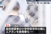 小学校低学年の娘にエアガン発射し顔や腹を殴った母親と内縁の夫を逮捕