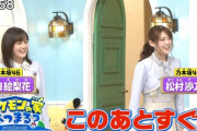 【乃木坂46】からあげ姉妹が大暴れ！！！本当にかわいらしぃなぁ二人とも！