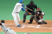 新人野手オープン戦打撃成績(3/5終了時)