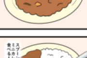 【画像】カレーを食べる時って、ライスの位置は「右側」が正しいのか・・・？