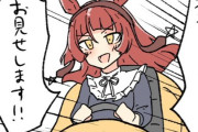 【ウマ娘】これが聖女のコーナリングｗｗｗ（頭文字D esire