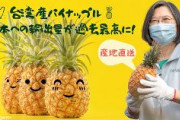 【朗報】台湾・蔡総統「台湾パイナップルを応援してくださる日本の皆さん、ありがとう！」　日本への輸出量が過去最高に