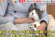 愛子さまの猫、品に満ち溢れてる