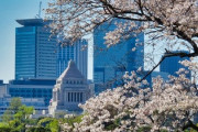 【潔白が証明か】安倍前首相の秘書ら、東京地検が任意聴取「桜を見る会」前夜祭の会費補填巡り