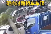 【動画】中国あるある、街路樹が突然倒木！走行中の乗用車の上にズドーン！
