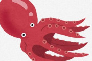 中国で新種の『タコ』発見される　既知種の幼体と間違われ流通し続けていた