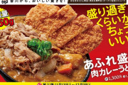 はなまるうどん  総重量1kgに迫る「あふれ盛り肉カレーうどん」全国の店舗で販売スタート