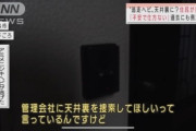 ニシキヘビ逃走初期 住人「屋根裏が怪しい……探して」大家「壊すのやだ?！」