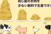 【画像】「ダチョウ肉」、マジでブームへｗｗｗｗｗw