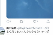 【Twitter】コロおじ「飛行機雲？！ウイルスを撒き散らした跡に違いない！！！」