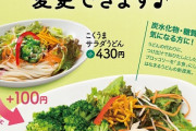 【画像】ワイ「野菜食べたいなぁ」はなまるうどん「うどんをブロッコリーに出来ますけど？」