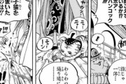 ハンコック「ルフィ、そなたを愛しています…♡」ルフィ「黙れよ"猫蹴り"」ハ「！？」