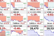 【悲報】アメリカ株･日本株･仮想通貨､全滅
