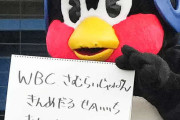 ヤクルト・つば九郎担当スタッフ肺高血圧症で永眠　４日に空港で倒れ入院　高津監督ら見舞いも