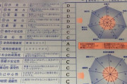 【画像】ワイが教習所で最初やらされた心理テストの結果が出てきたんやがどんなイメージ？
