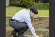 【悲報】天皇陛下、田植えをされる時もスーツに革靴…