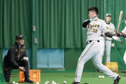 【朗報】阪神Ｄ２・井上広大、臨時コーチの和田ＴＡが絶賛「力のある新井の兄ちゃんみたい」