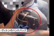 【中国】44万円相当“ヴィトンのバッグ”「床に置きたくない」客のわがままで離陸できず…搭乗口に引き返し後続便に影響も