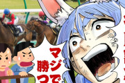 【画像】兎田ぺこら「競馬で100万負けちゃったぺこ～ｗ」 V豚「！！！」ｼｭﾊﾞﾊﾞﾊﾞﾊﾞ